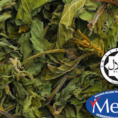 Pure Peppermint ( 1 KG )