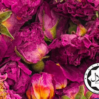 Pure Blossom Rose (500GM)
