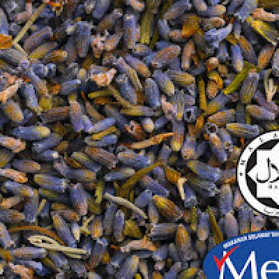 Pure Lavender ( 1 KG )