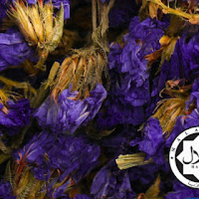 Pure Myosotis Slyvatica (500 GM)