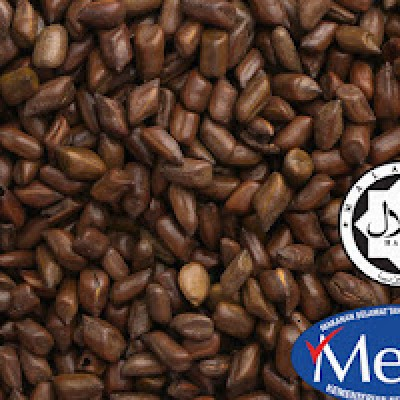 Pure Cassia Seed (1 KG)
