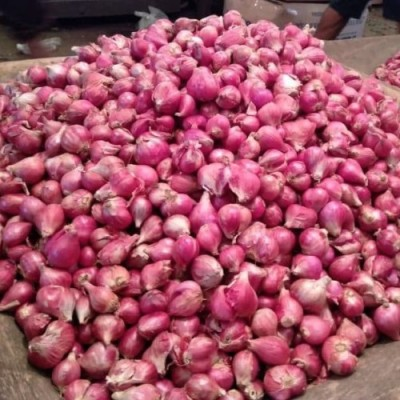BAWANG BESAR 5KG