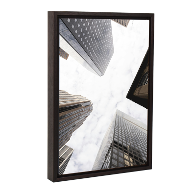 Canvas (Floating Frame)