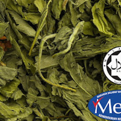 Pure Stevia (500 GM )
