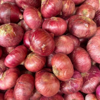 Bawang Merah Besar India (7kg)