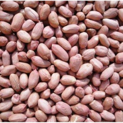 KACANG TANAH 5KG